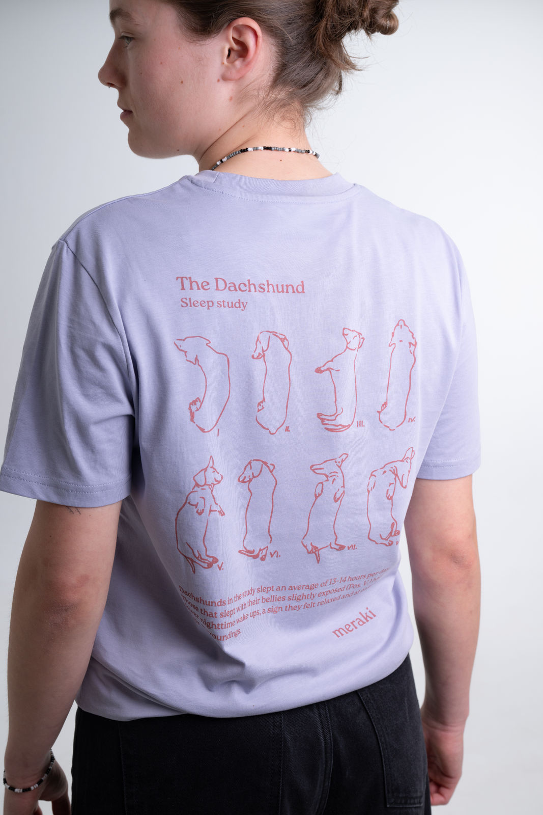 Dog Sleep Study / lavender