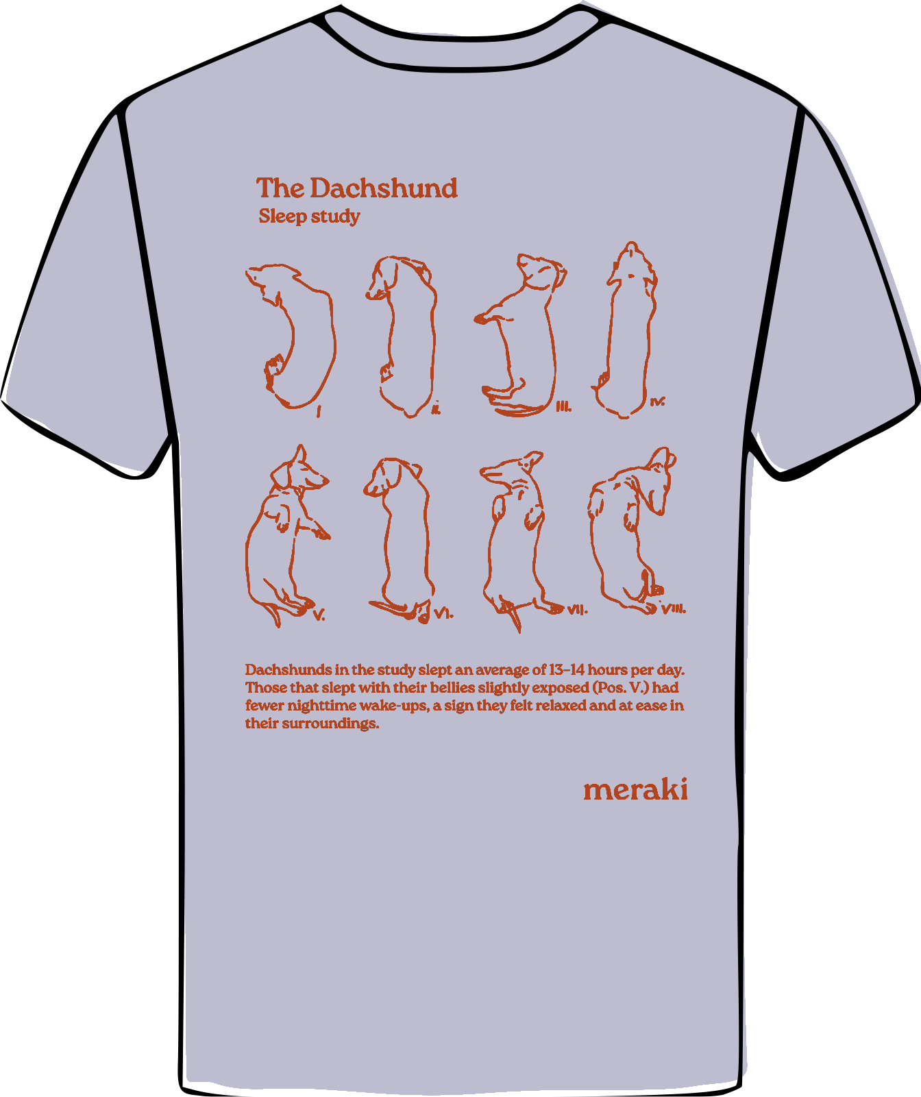 Dog Sleep Study / lavender