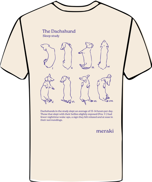 Dog Sleep Study / beige